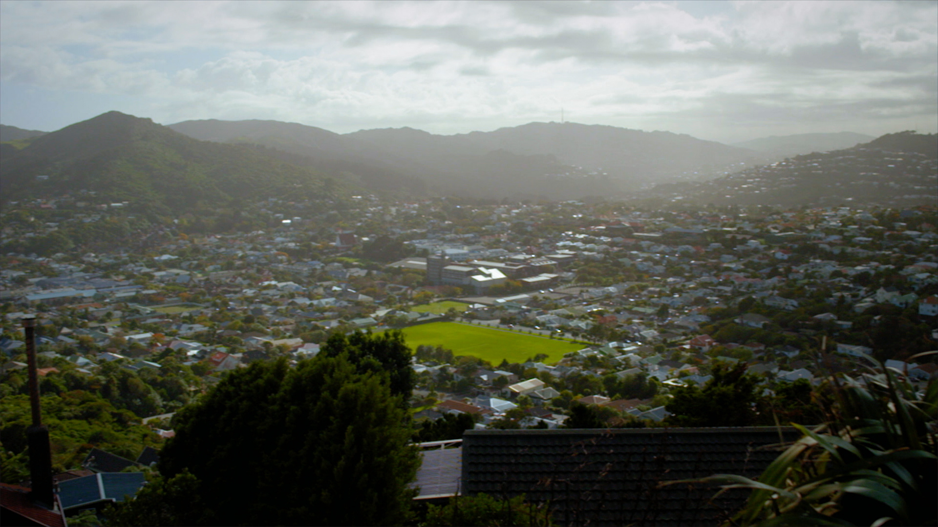 Hero image for Neighbourhood - Karori (with Chris Chang)