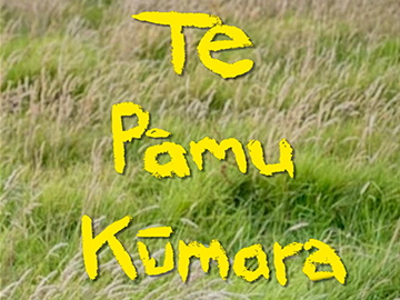 Image for Te Pāmu Kūmara