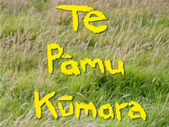 Thumbnail image for Te Pāmu Kūmara