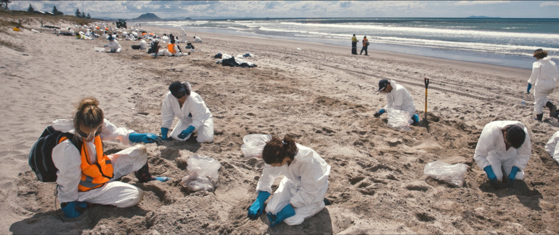 Hero image for Taking Back Our Beach